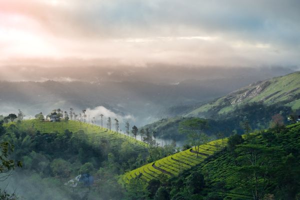 City Highlights Tour in Munnar