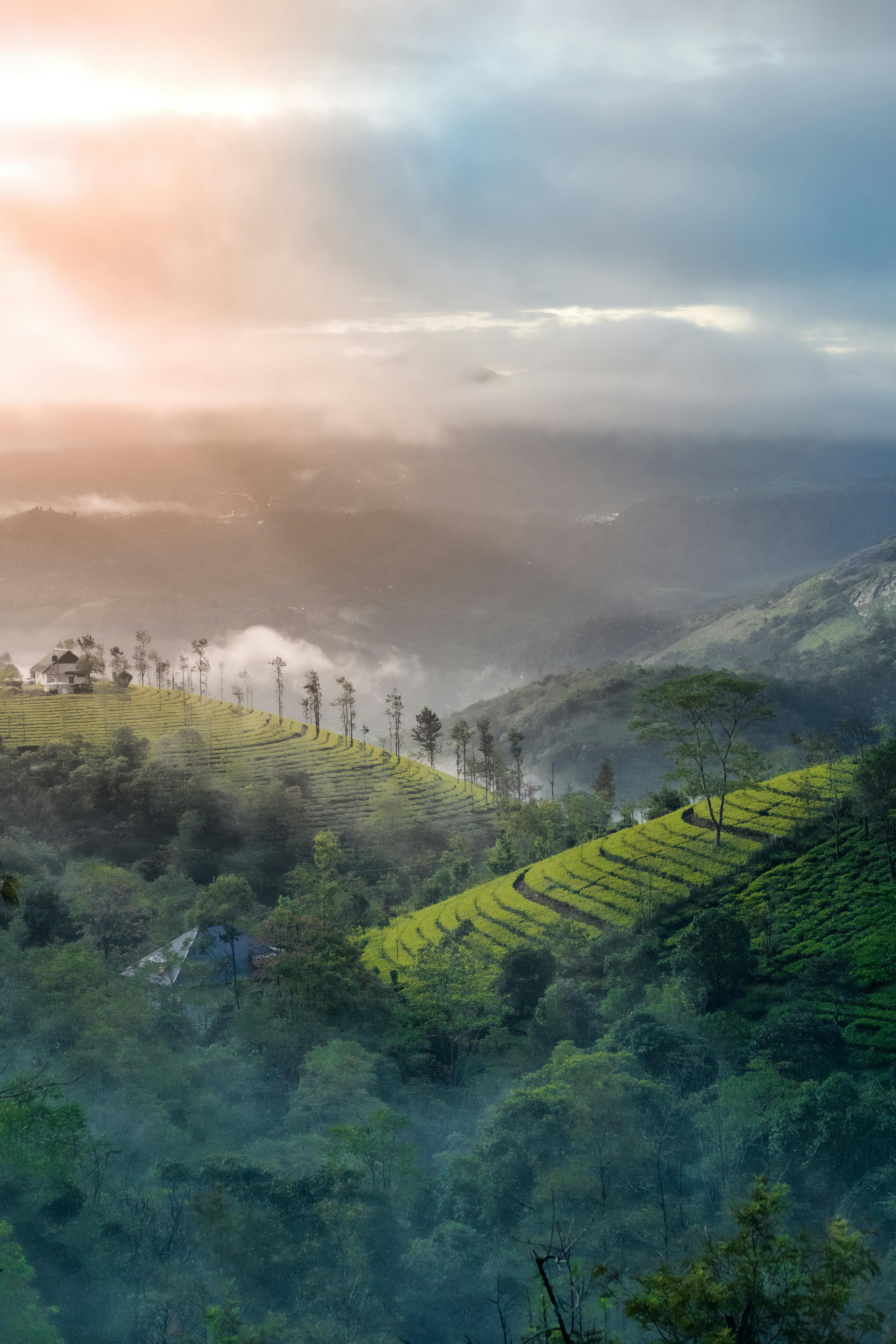 Topstation, mountains, munnar, kerala, HD phone wallpaper | Peakpx