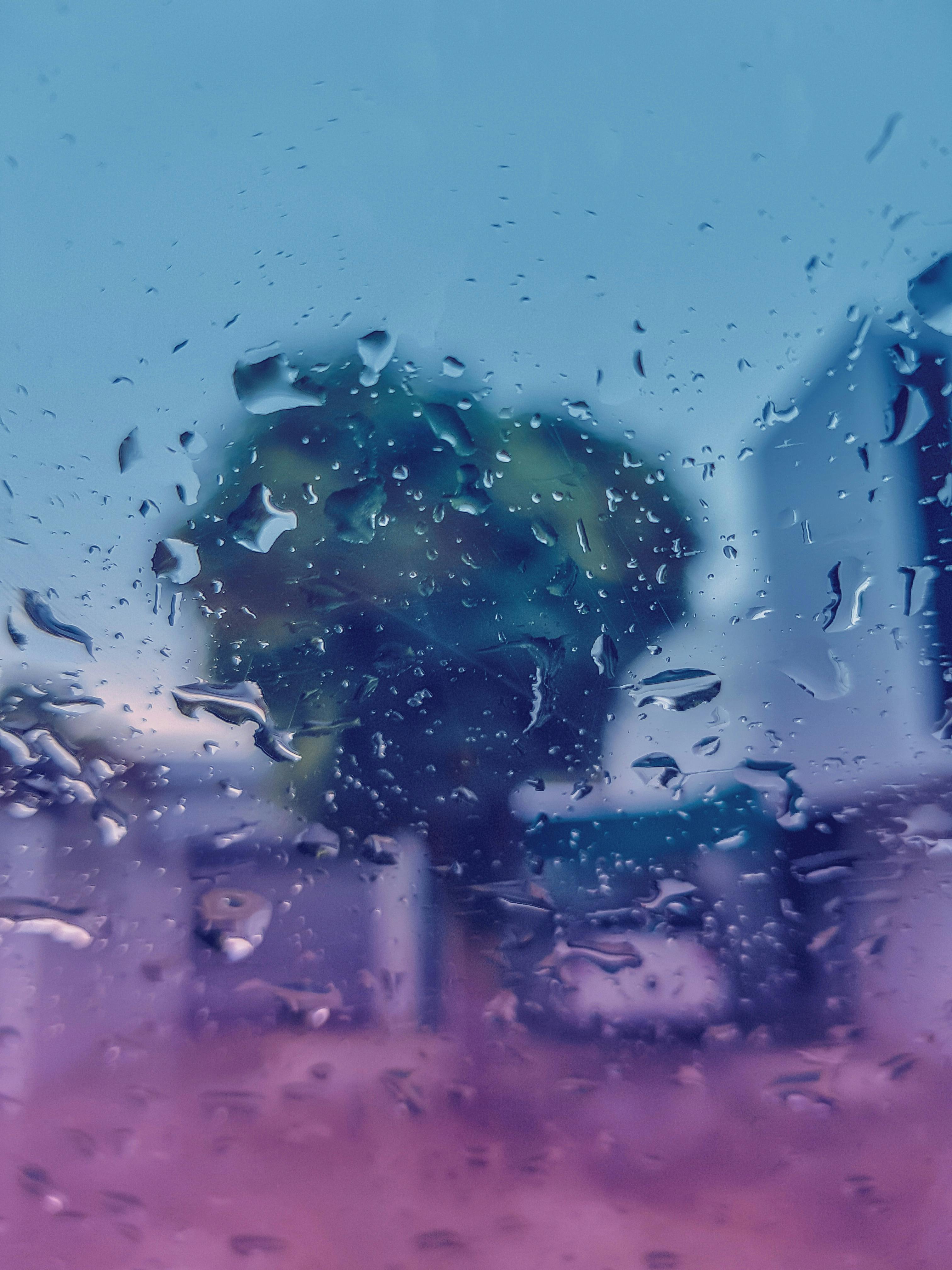 Free stock photo of 4k wallpaper, after the rain, android wallpaper