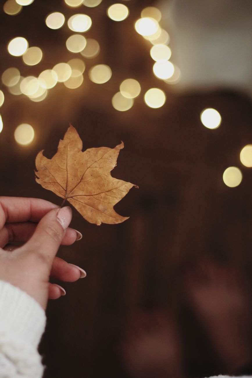 A hand holding a maple leaf with a blurred bokeh background, capturing a warm autumn feel.