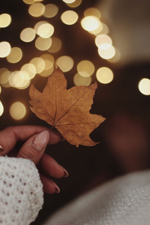 Free A cozy autumn scene featuring a maple leaf held against a bokeh background, evoking warmth and nostalgia. Stock Photo