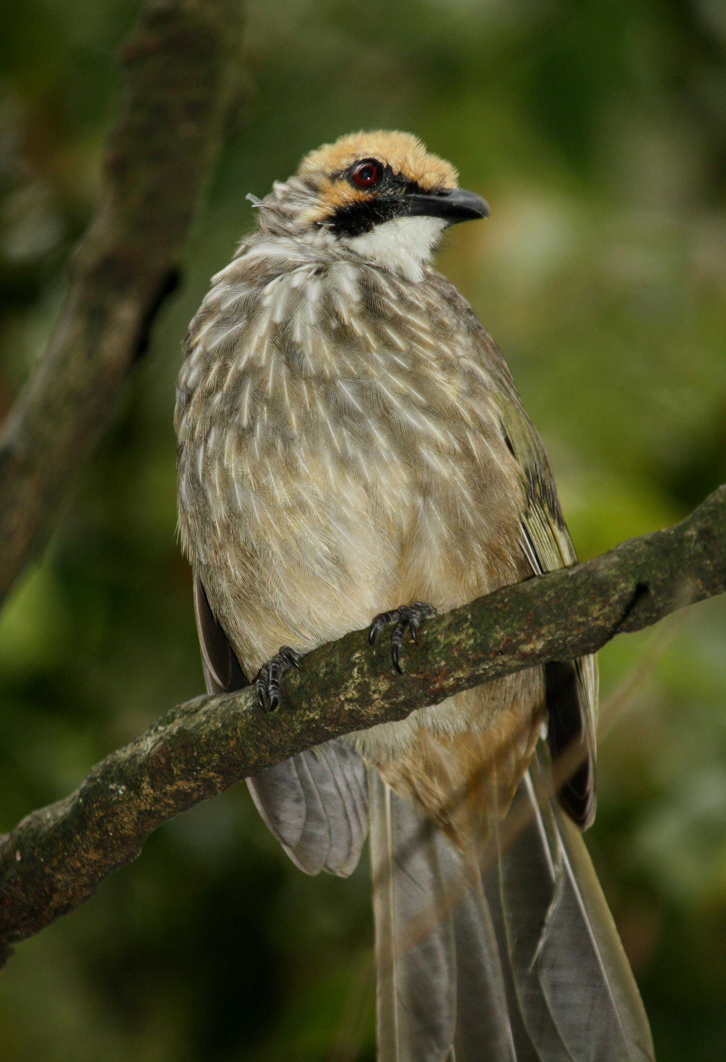Hiker with trekking poles on a mountain trail