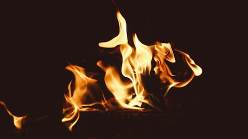 Close Up Photo of a Fire
