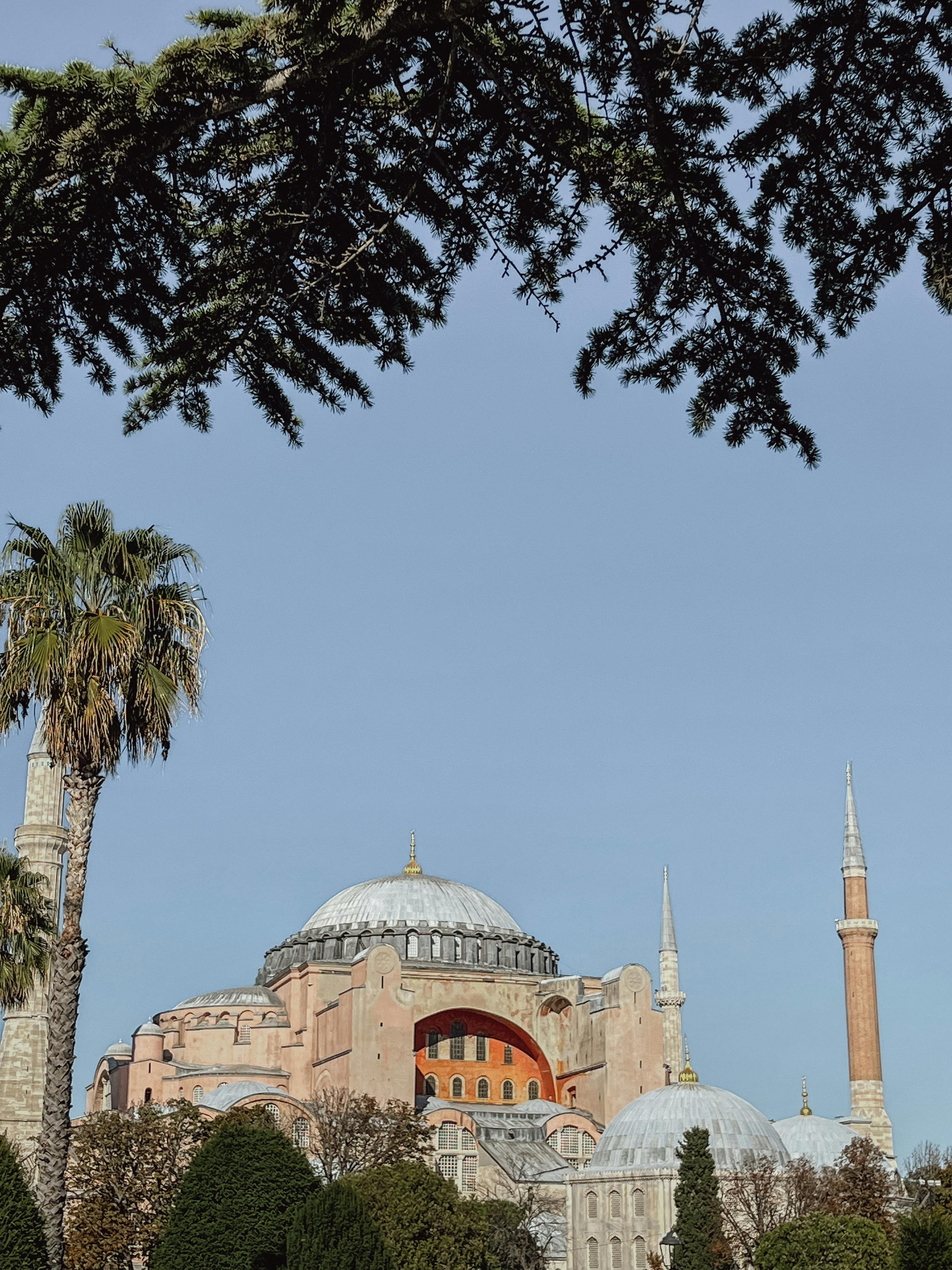 The iconic Hagia Sophia mosque in Istanbul, captured with a clear blue sky and palm trees in view.