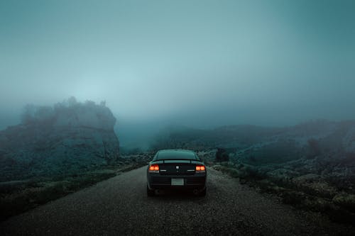 Foto d'estoc gratuïta de automoció, boira, carretera