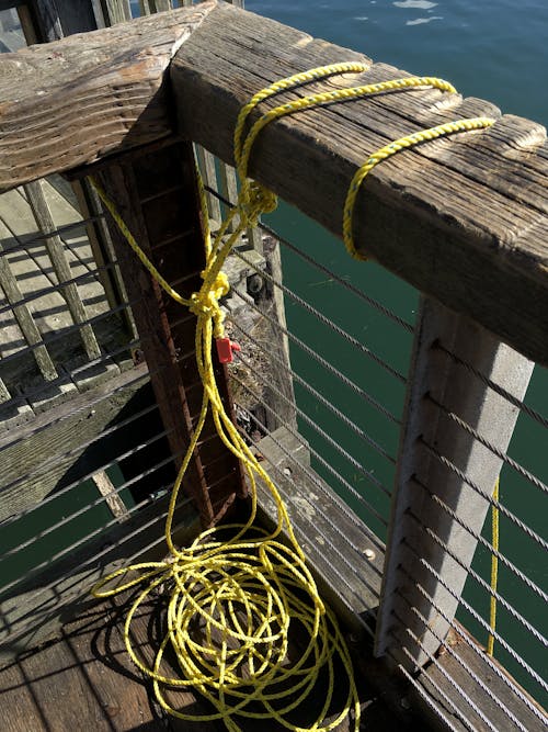 Rope Tight to Railing in Harbor