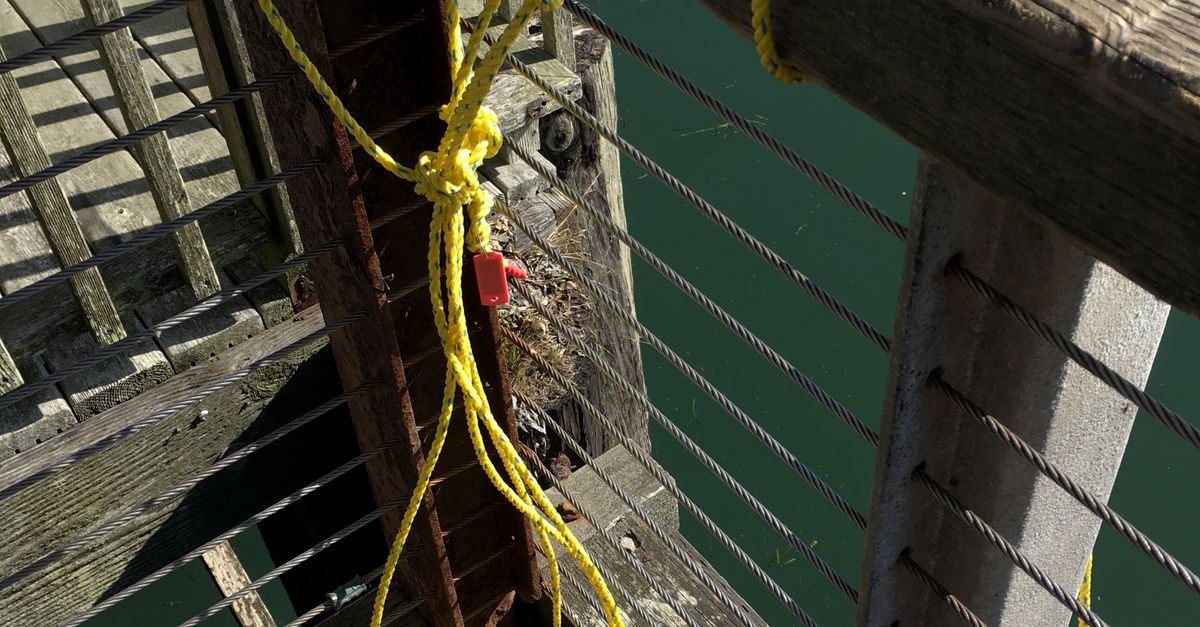 Rope Tight to Railing in Harbor · Free Stock Photo