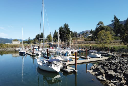 Sailboats in a Harbor 