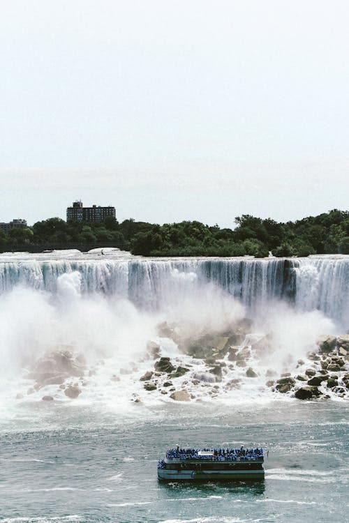 Water Falls Near Green Trees