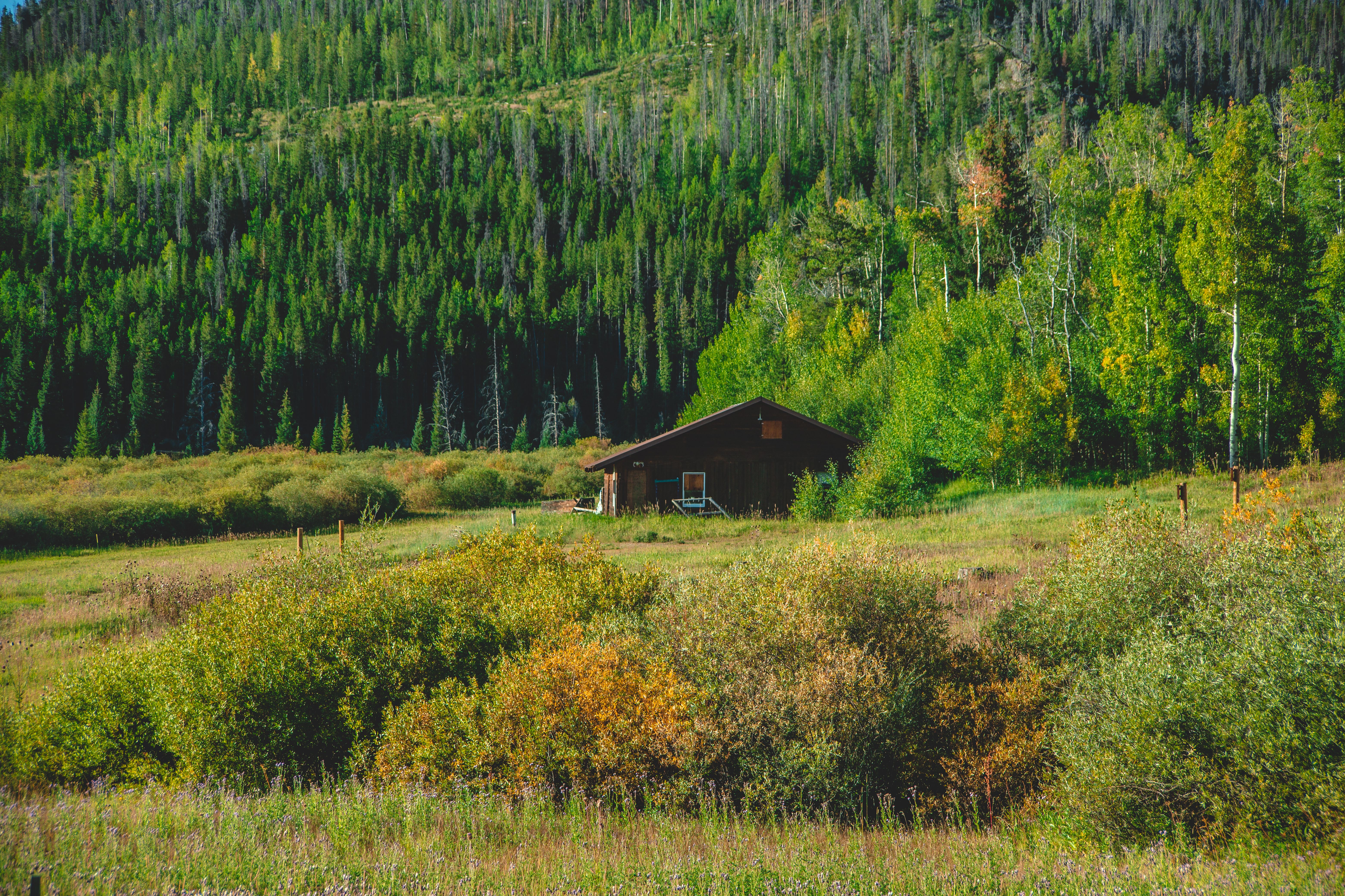 Explorer Cabins at Yellowstone
