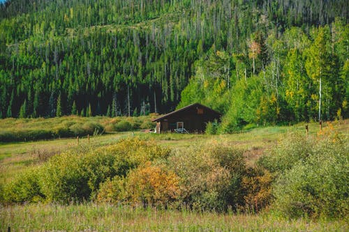 Foto profissional grátis de área, árvores, casa de madeira
