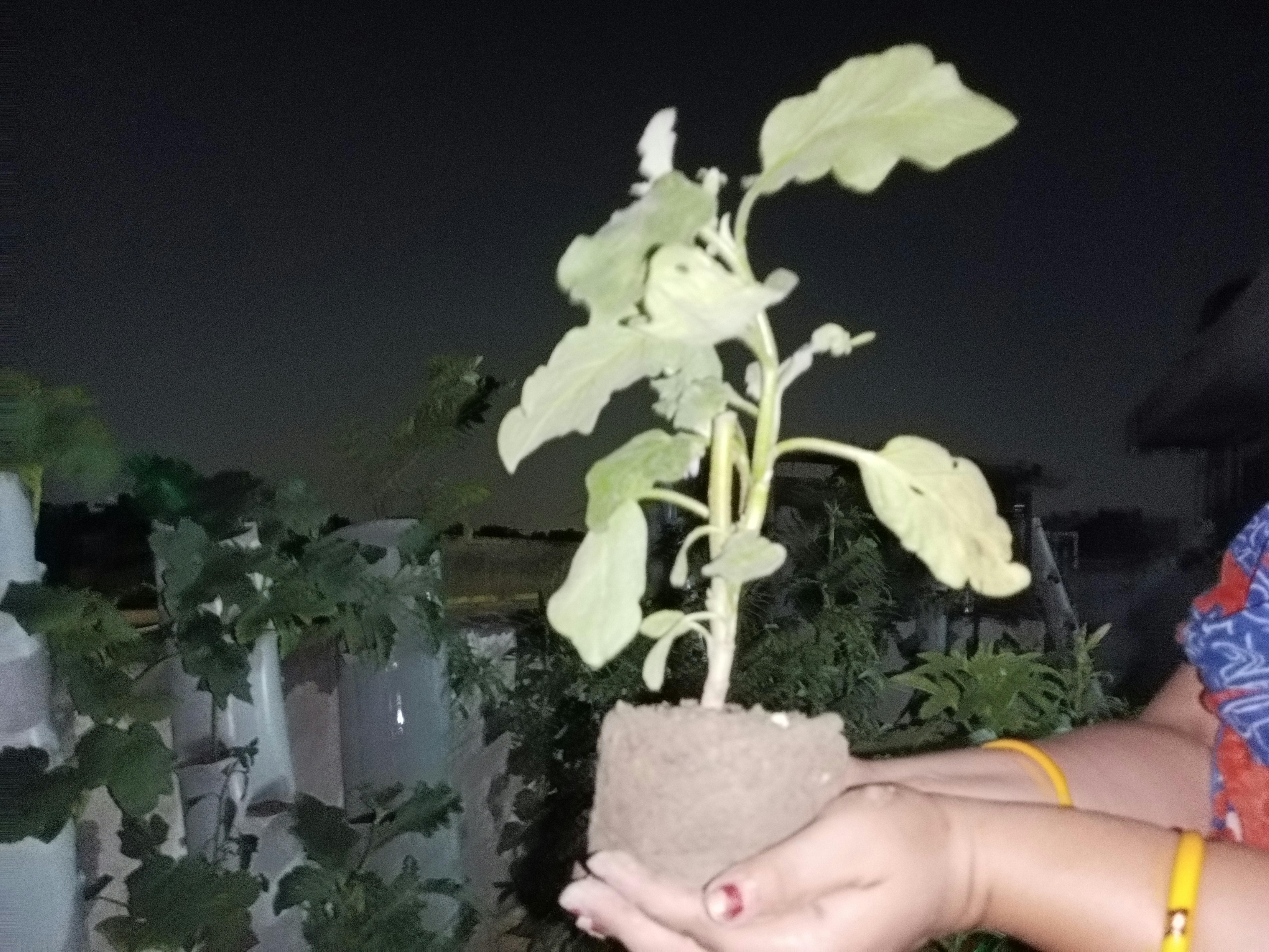 조용한 테이블에서 책을 읽으며 핵심을 정리하는 동양인 학생