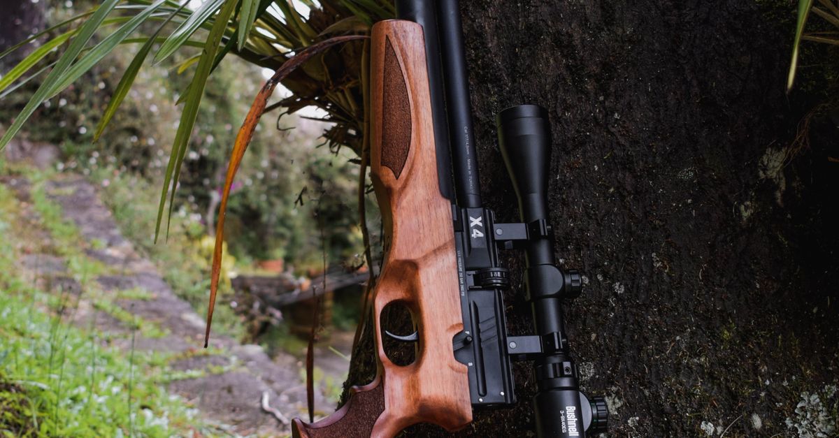 Close-up of a Brown Gun on a Tree Trunk · Free Stock Photo