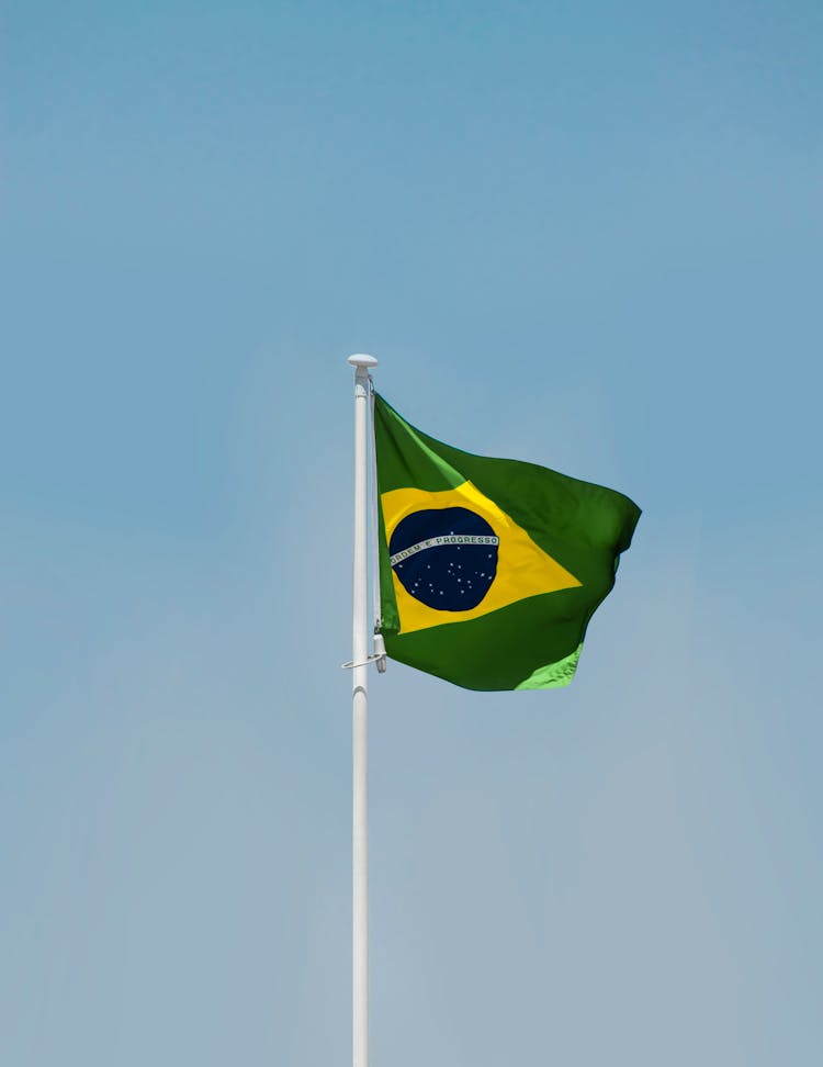 The Flag Of Brazil 