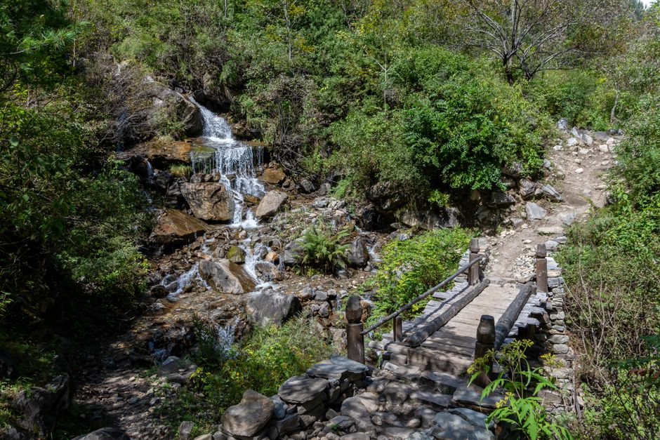 Forest waterfall along the Falls of Hills Creek near the Cranberry River