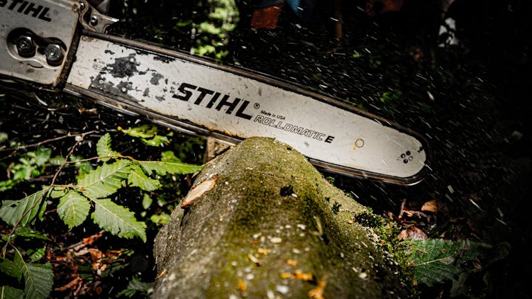 A Chainsaw Cutting On The Log