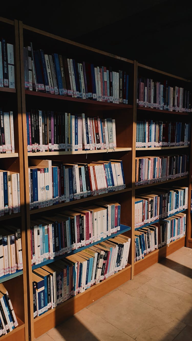 Shelves With Books In A Library