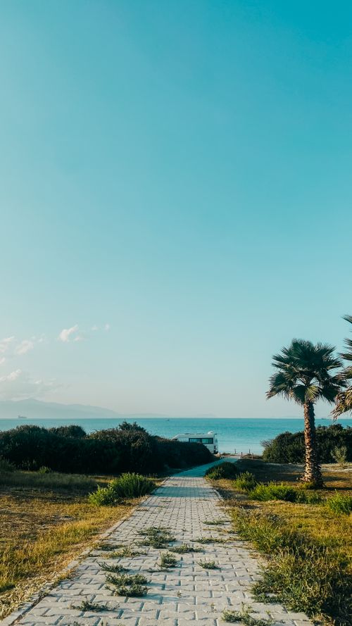 Free A scenic view of a palm tree-lined walkway leading to the ocean under a clear blue sky. Stock Photo