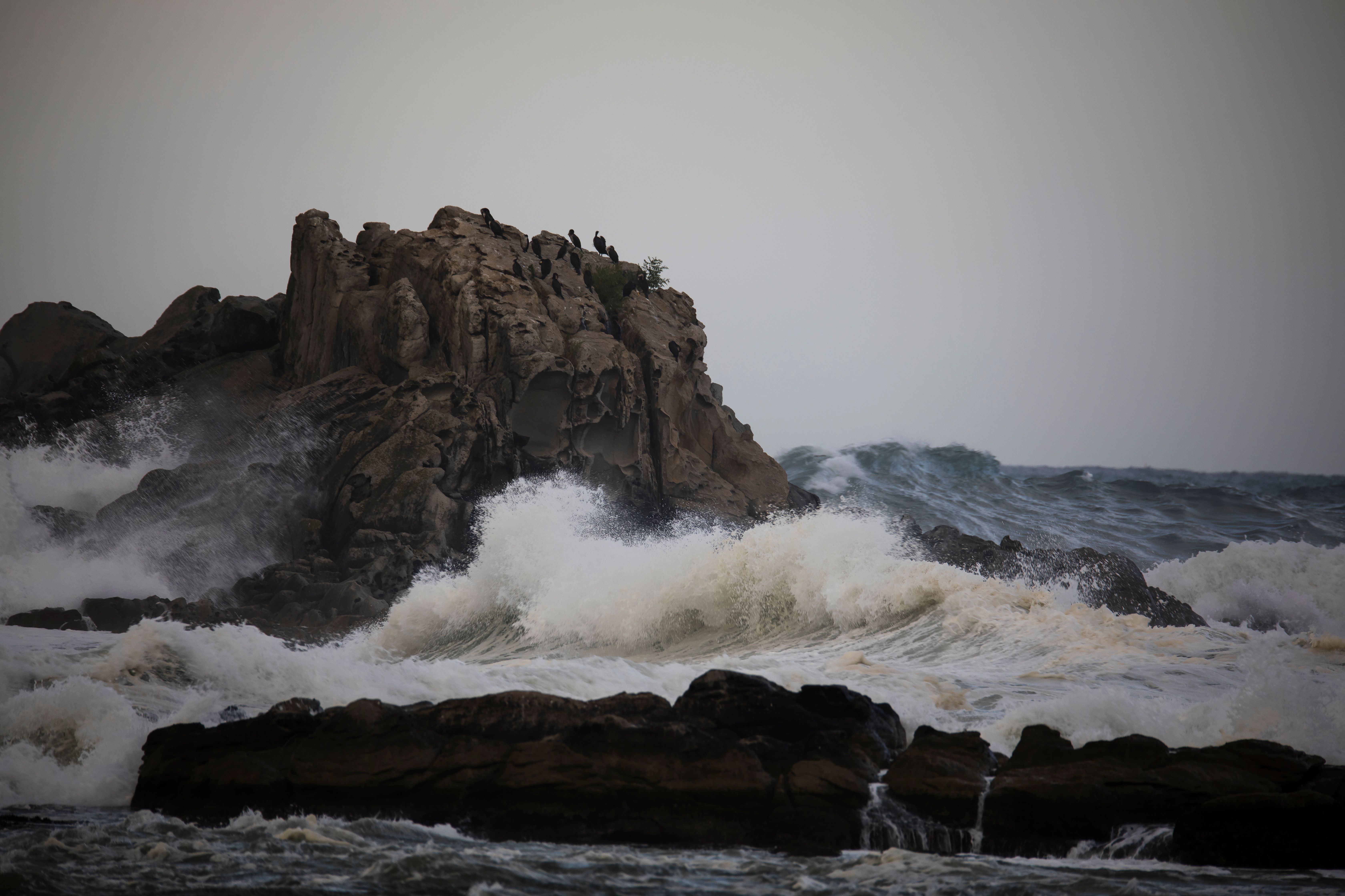 Ocean Waves Crashing on Rocky Shore · Free Stock Photo