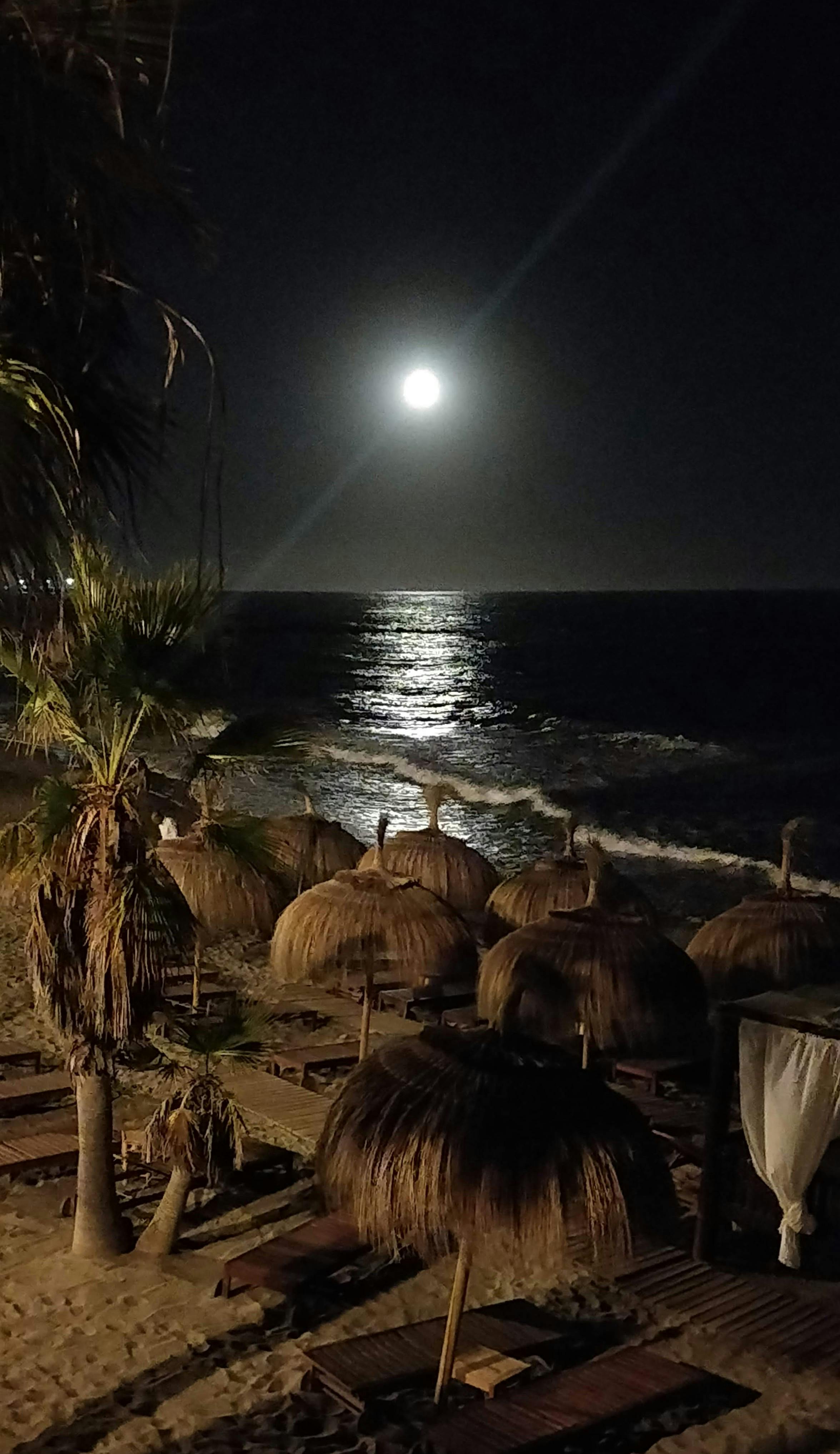 Free stock photo of beach at night, beach bar, beach chairs