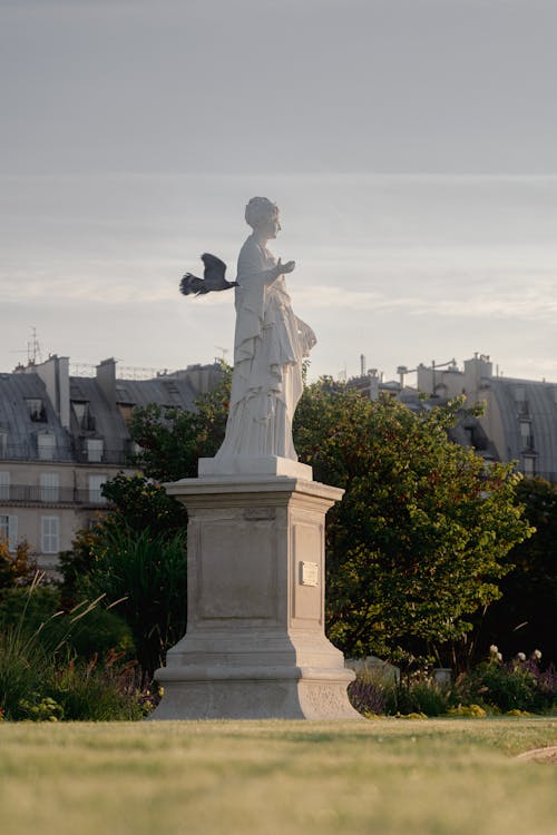 Photos gratuites de oiseau qui vole, sculpture, statue