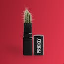 在红色背景下，口红管中的仙人掌以其独特概念，象征着尖锐的幽默与创造力