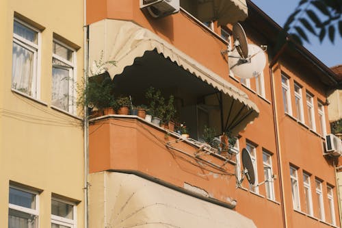 Potted Plants on the Balcony of a Home