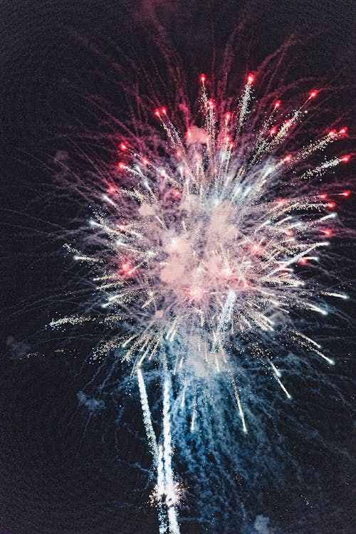 Fireworks on Night Sky