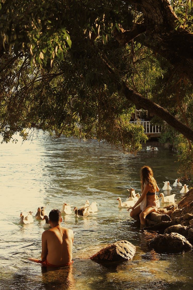 Man And Woman Swimming With The Ducks On The River