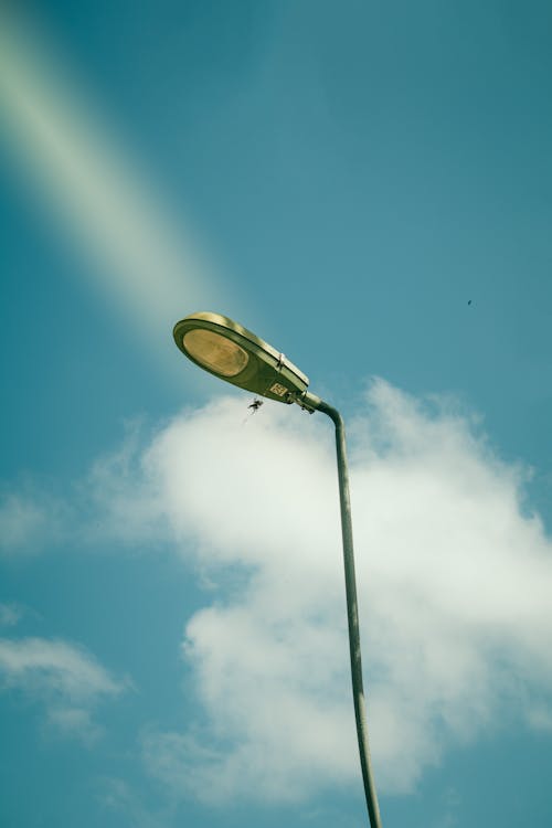 Gray Street Light Under the Blue Sky