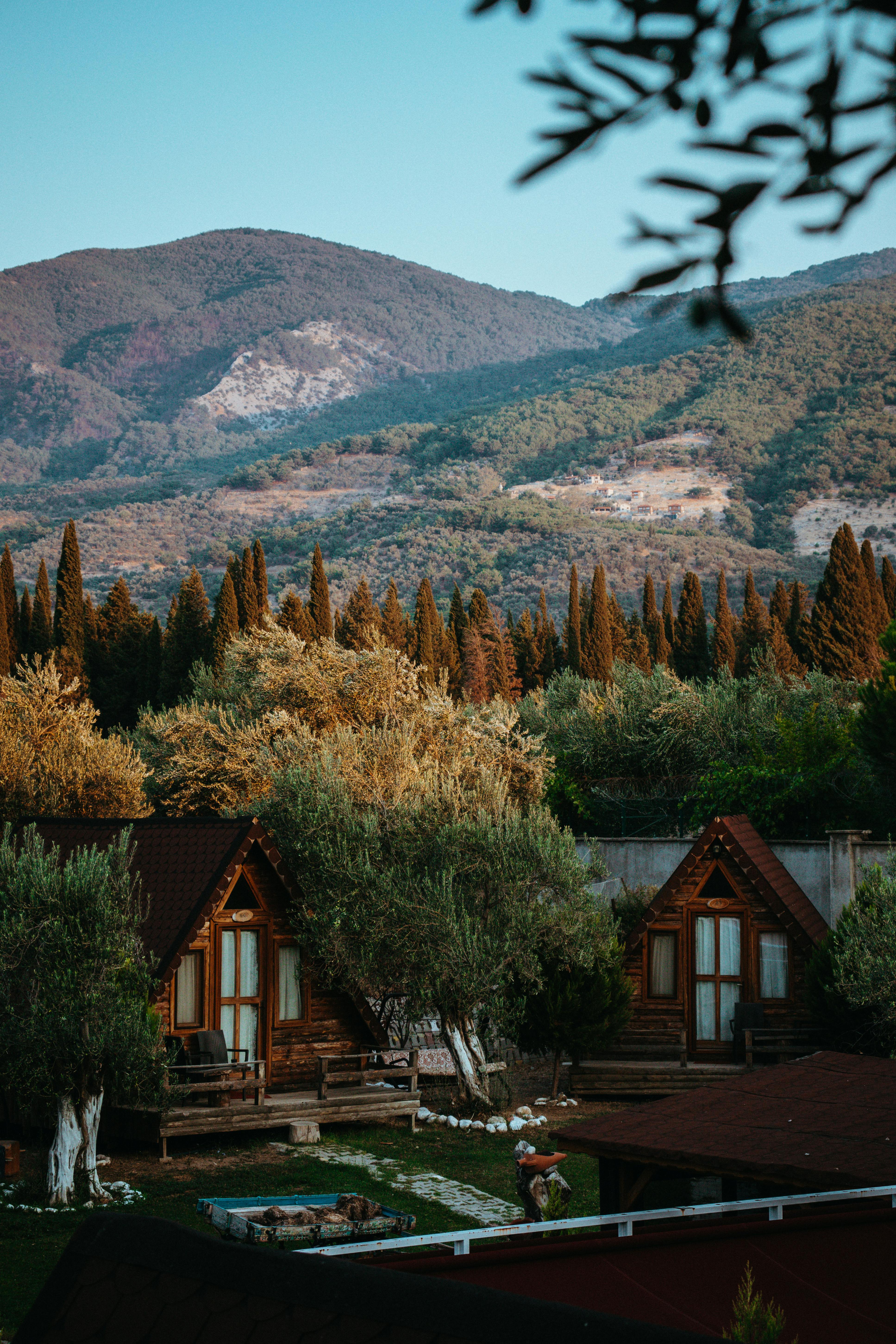 Are log cabins a good investment?