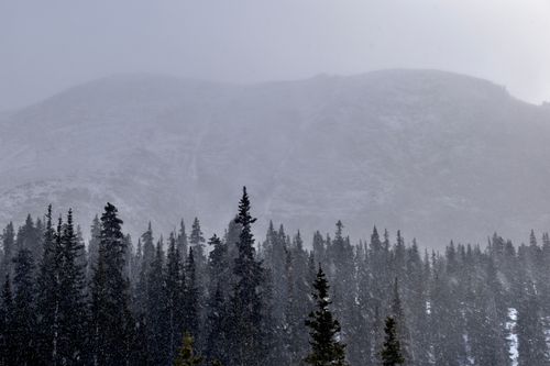 Free A tranquil winter scene of snow-covered mountains with pine trees in the foreground. Stock Photo