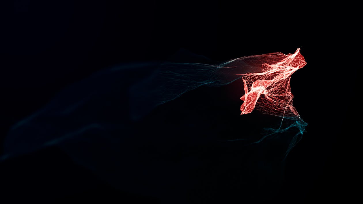 アート ワイヤーフレームの無料の写真素材