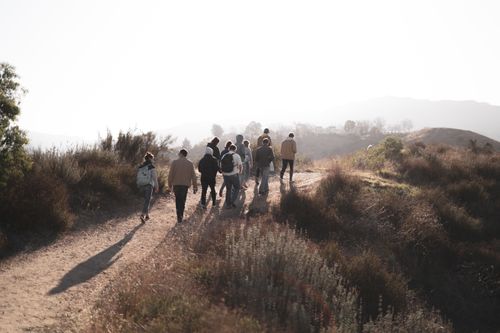 Free A group of hikers explores a scenic trail at sunrise, surrounded by nature. Stock Photo