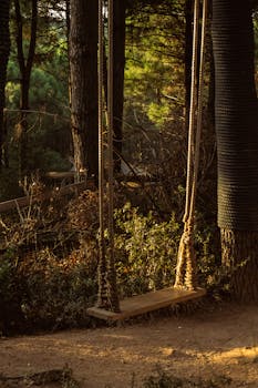 Rewa forest officials seized 4 lakh rupees worth of illegal teakwood from an MP.  Corruption crackdown, illegal logging.