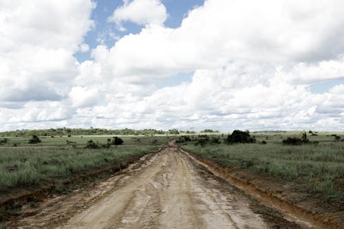 Fotos de stock gratuitas de colombia, llano