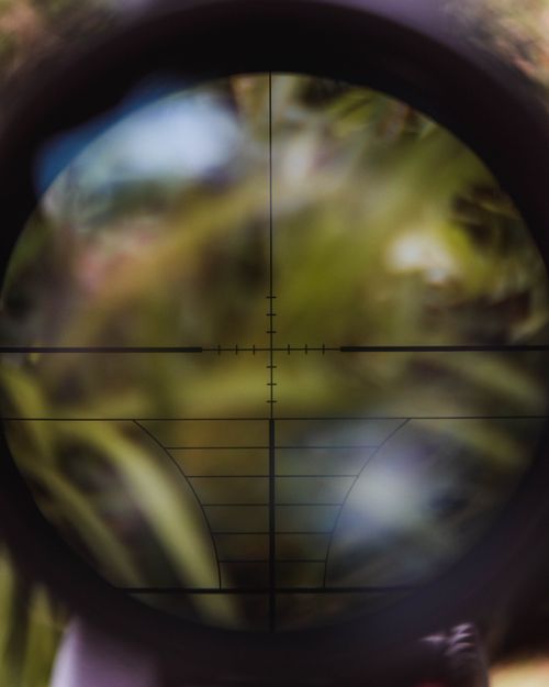 View through a rifle scope