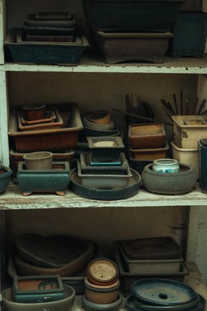 Céramiques émaillées finies disposées sur des étagères d'atelier