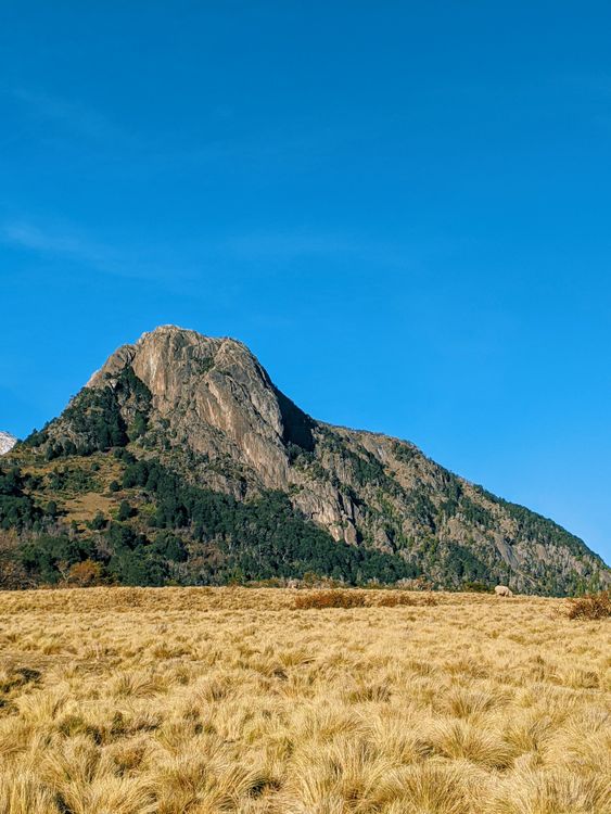 Rocky Mountain Under the Blue Sky · Free Stock Photo