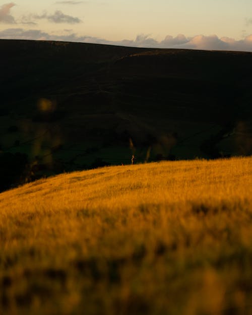 垂直拍摄, 山, 日落 的 免费素材图片
