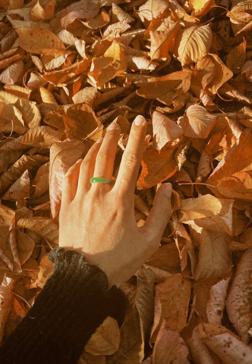 Hand Wearing Green Ring Touching Fallen Autumn Leaves