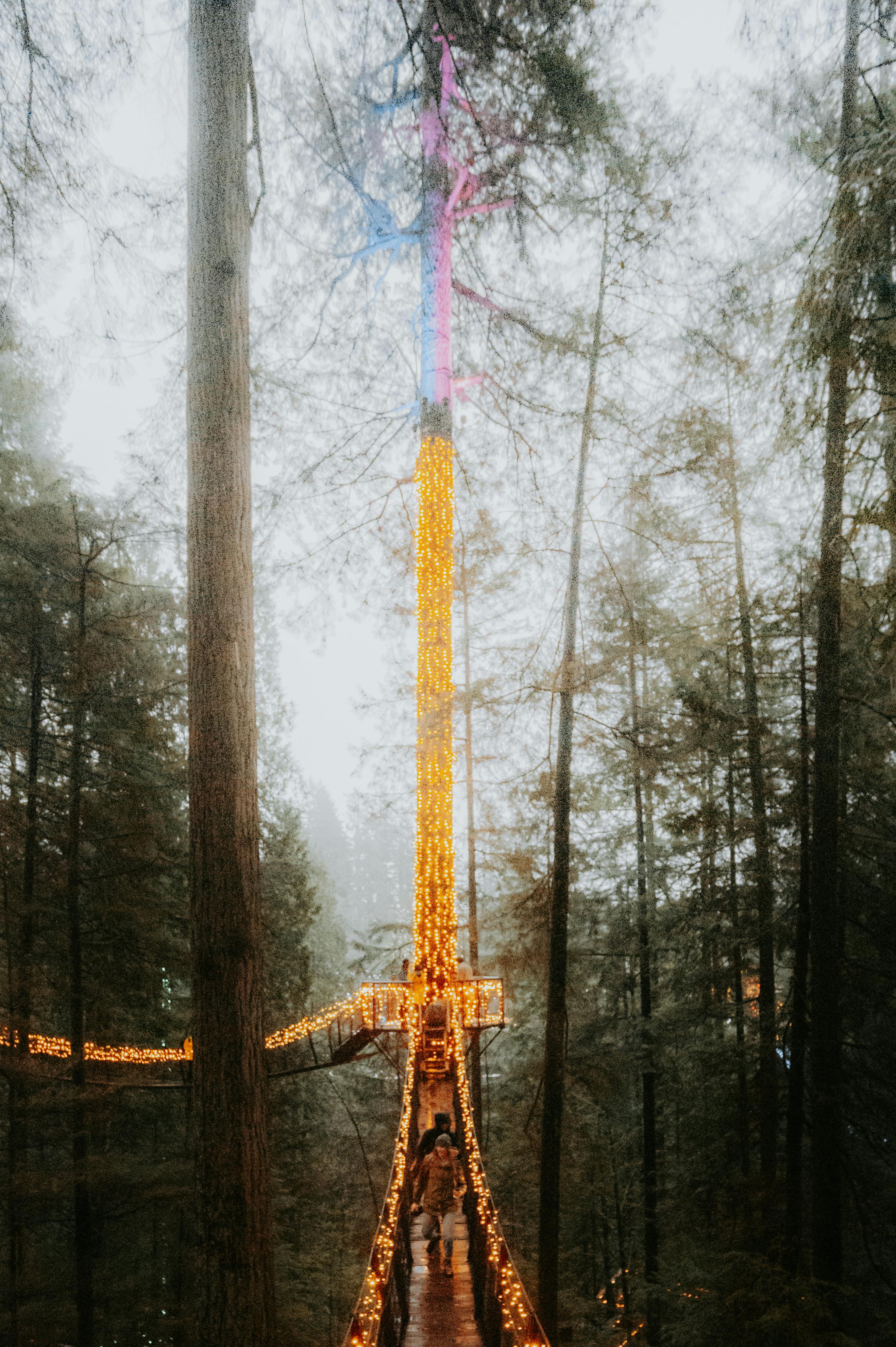 Does walking reduce prostate?