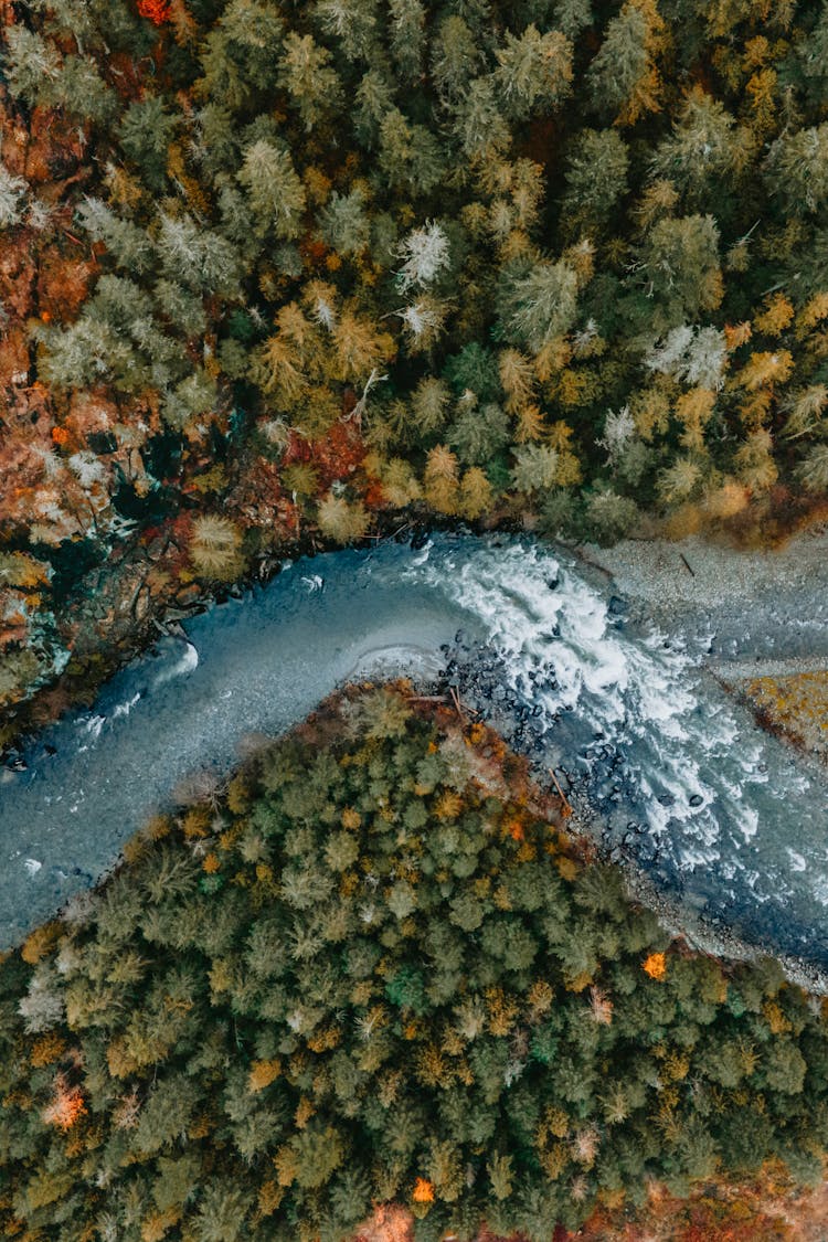 Drone Shot Of A River Flowing Through An Autumnal Forest 