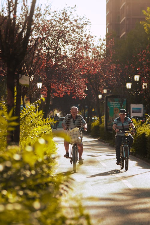 Elderly Men Riding Bicycles