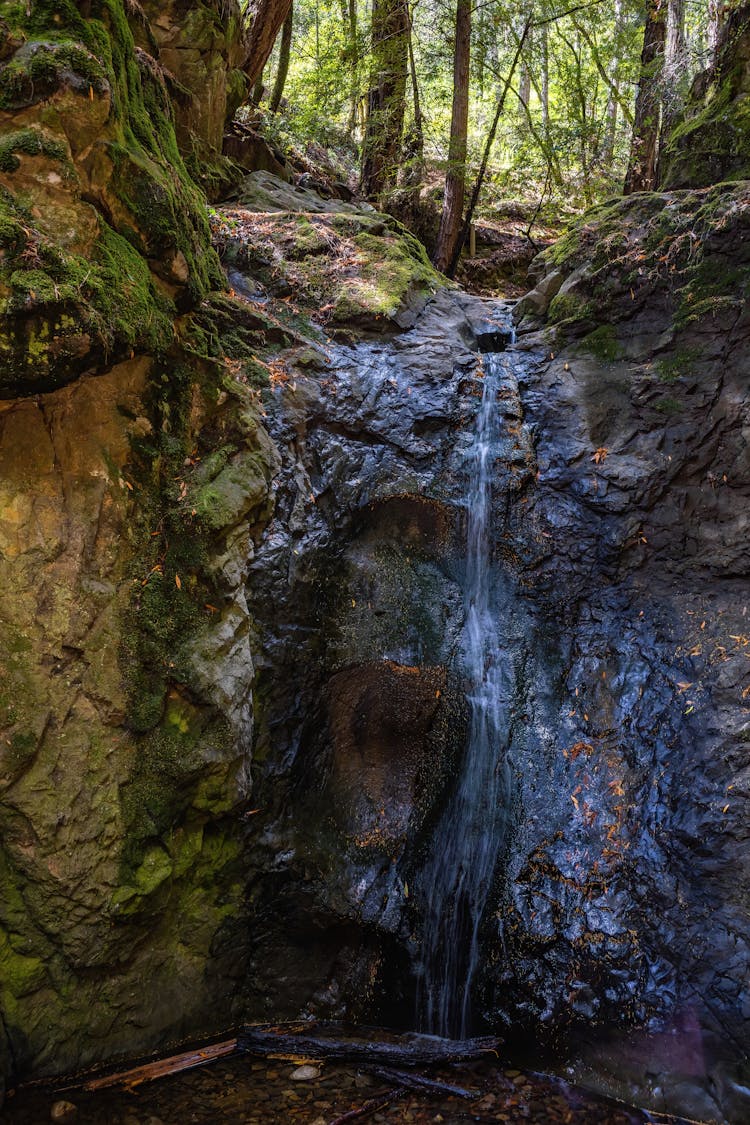 A Waterfall In The Forest 