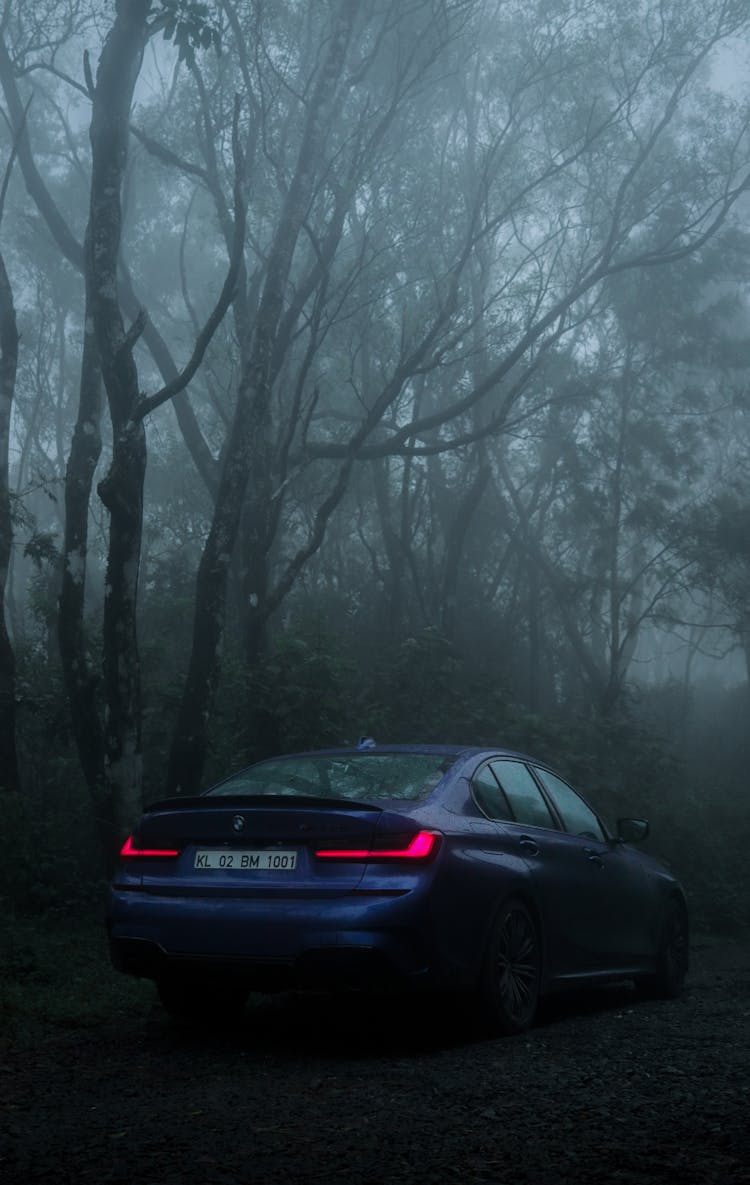 Blue Bmw Car Parked Under The Tall Trees 