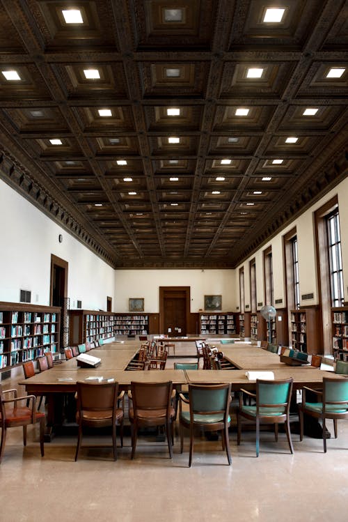 Gratis lagerfoto af aktie, bibliotek, bibliotek baggrund