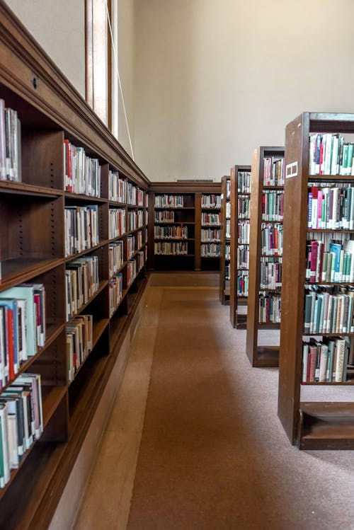 Free Bookshelves in the Library  Stock Photo