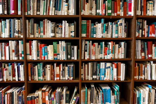 Free Assorted Books on Book Shelves Stock Photo