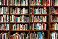 图书馆里充满活力，木制书架上摆满了各种书籍